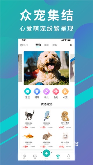 宠都官网版app_生活实用_第2张_猴子软件站 宠都官网版app_https://www.houzisoft.com_生活实用_第2张