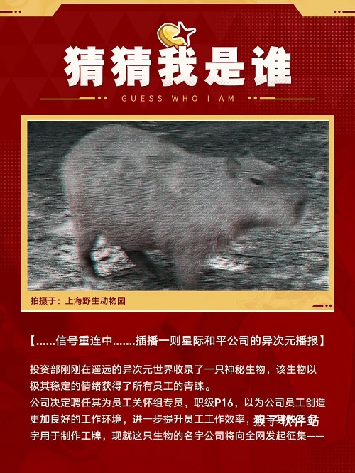 崩坏星穹铁道认养卡皮巴拉 星穹铁道卡皮巴拉征名活动已开启_游戏攻略_第1张_猴子软件站 崩坏星穹铁道认养卡皮巴拉 星穹铁道卡皮巴拉征名活动已开启_https://www.houzisoft.com_游戏攻略_第1张