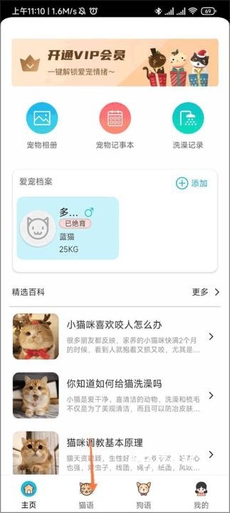 猫语交流翻译器完整版下载_学习办公_第5张_猴子软件站 猫语交流翻译器完整版下载_https://www.houzisoft.com_学习办公_第5张