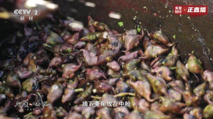 东东影院tv版下载_影音视频_第4张_猴子软件站 东东影院tv版下载_https://www.houzisoft.com_影音视频_第4张