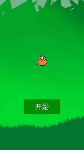 小胖鸟丛林冒险记_https://www.houzisoft.com_休闲益智_第1张