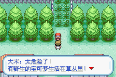 口袋妖怪火红中文版_https://www.houzisoft.com_角色扮演_第4张