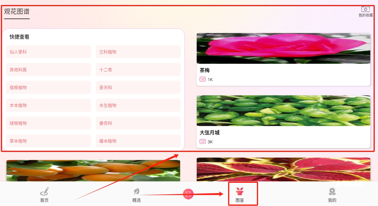 养花宝最新版_生活实用_第3张_猴子软件站 养花宝最新版_https://www.houzisoft.com_生活实用_第3张