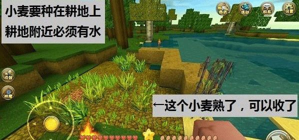 迷你世界最新版本_模拟经营_第26张_猴子软件站 迷你世界最新版本_https://www.houzisoft.com_模拟经营_第26张