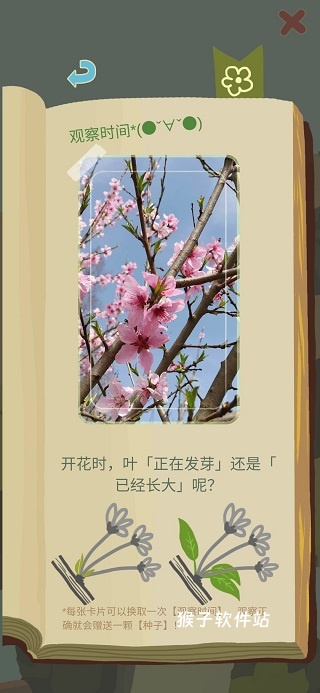 老农种树最新版_模拟经营_第2张_猴子软件站 老农种树最新版_https://www.houzisoft.com_模拟经营_第2张