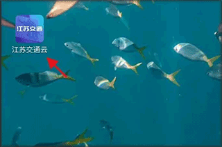 江苏交通云官网版_出行购物_第1张_猴子软件站 江苏交通云官网版_https://www.houzisoft.com_出行购物_第1张