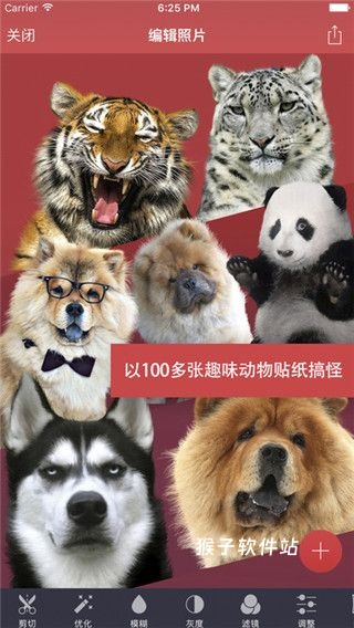 pixomatic安卓_https://www.houzisoft.com_摄影图像_第2张
